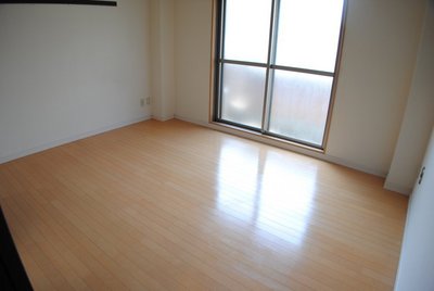 Living and room. Full-scale flooring