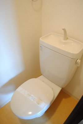 Toilet. Toilet