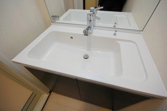 Washroom. Stylish independent wash basin