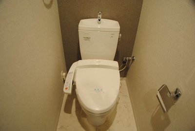 Toilet. Fashionable toilet. 