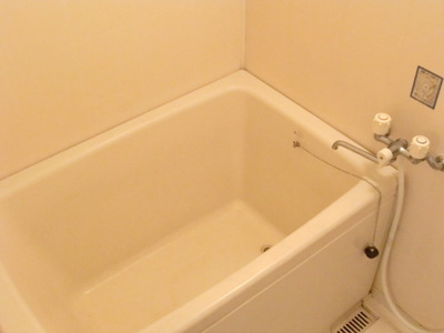 Bath. Relax comfortably spacious bathroom