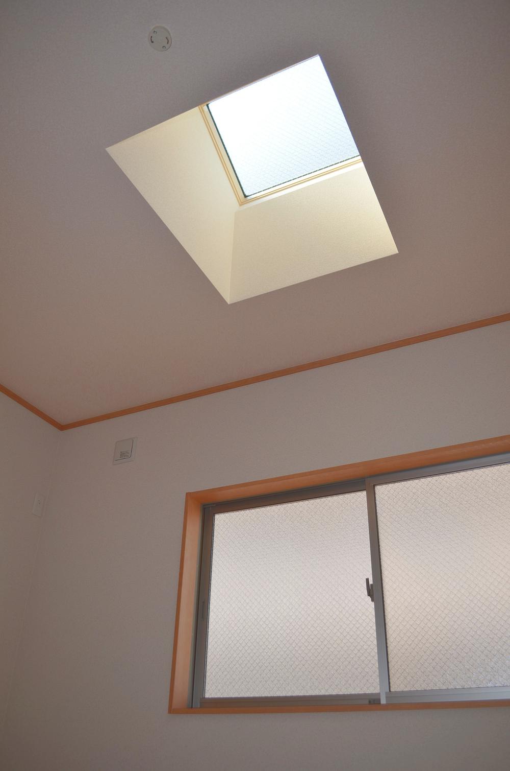 Other. There is also a skylight with No. land, Each room is very bright even take lighting