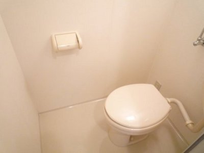 Toilet. WC