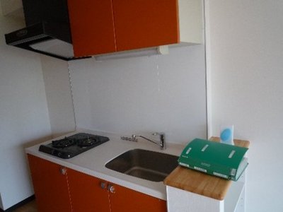 Kitchen. Orange Kitchen