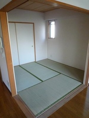 Living and room. Japan of mind