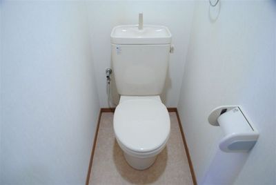 Toilet. Bidet can be installed