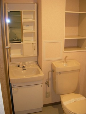 Toilet. Basin dressing room designer style