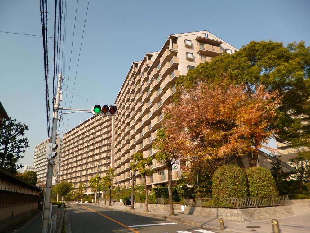 Local appearance photo. Local (12 May 2013) Shooting