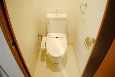 Toilet. There is warm water washing toilet seat