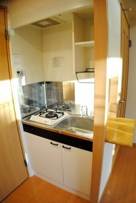 Kitchen. Gas stove, Stylish counter kitchen