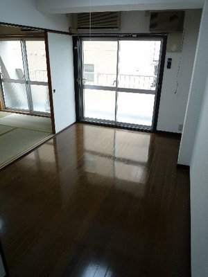 Living and room. Flooring is beautiful. 