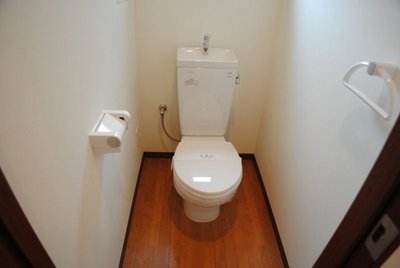 Toilet. A clean toilet.