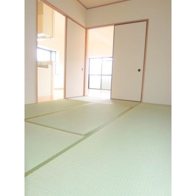 Other room space. Japanese style room