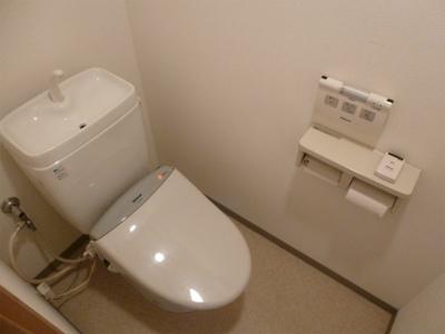 Toilet. Local (June 2013) Shooting