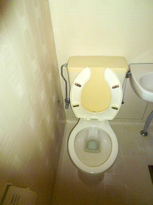 Toilet. Toilet