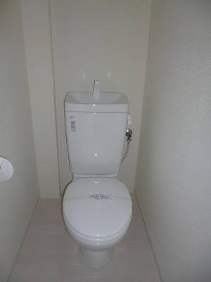 Toilet. Clean toilet