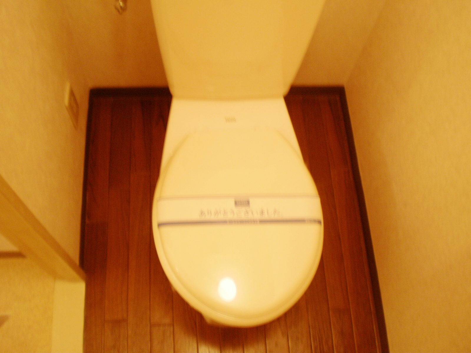 Toilet