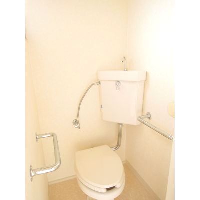 Toilet. Barrier-free