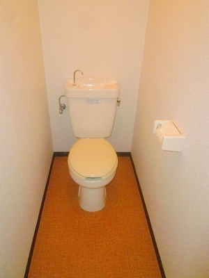 Toilet. comfortable