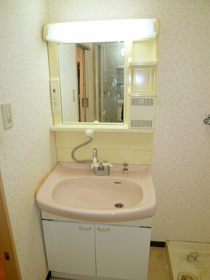 Washroom. Independent washbasin with shampoo dresser of the shower