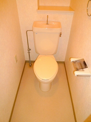 Toilet. separate