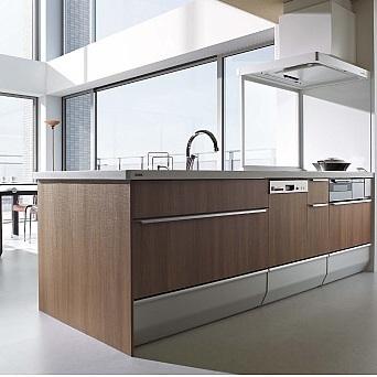 Kitchen. Open kitchen adopted a sense of open