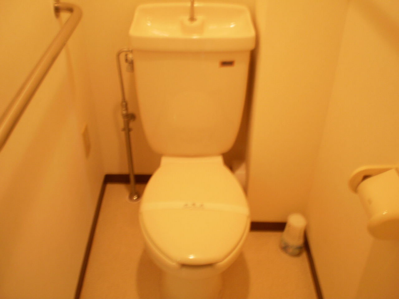 Toilet