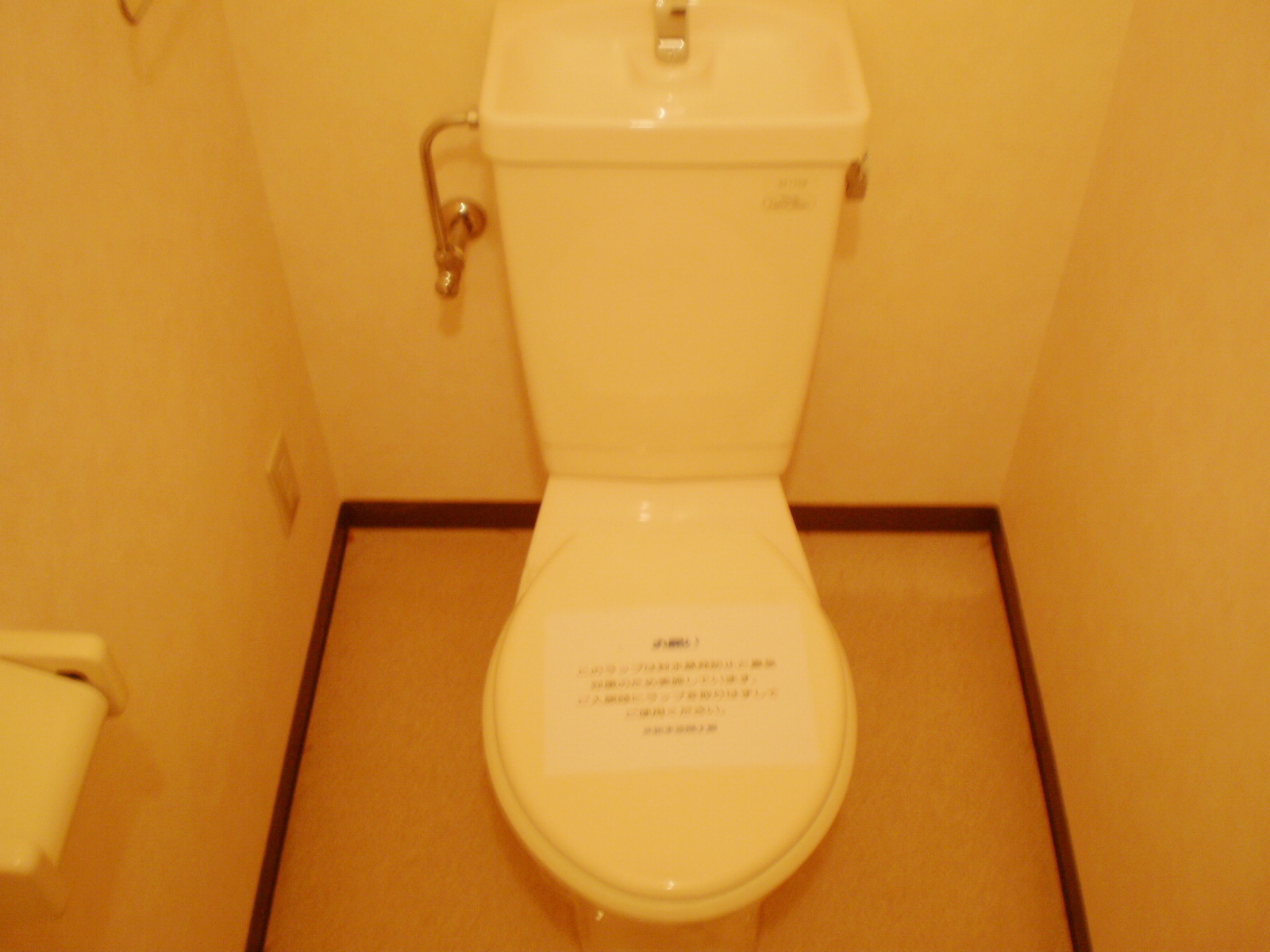 Toilet