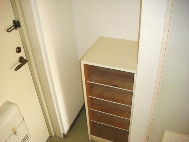 Entrance. Shoebox of a movable shelf