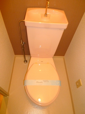 Toilet. Clean toilet