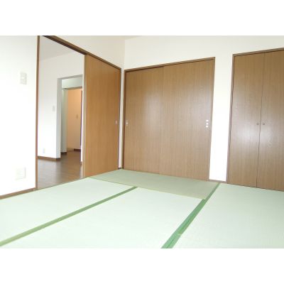 Other room space. Japanese style room