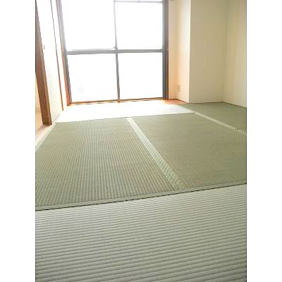 Other room space. Japanese style room