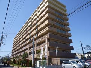 Local appearance photo. Stylish appearance