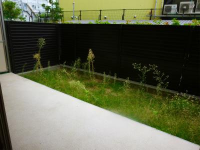 Balcony. Indoor (10 May 2013) Shooting