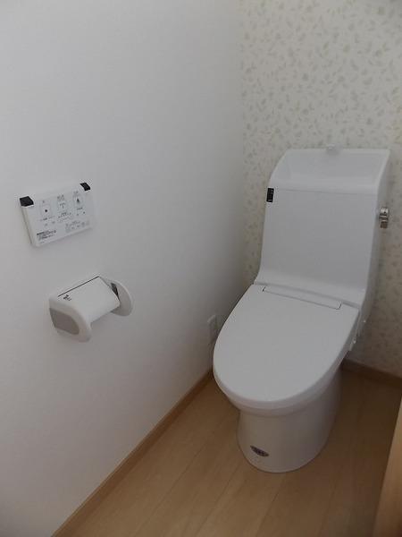 Toilet. It is a toilet with a washing toilet seat