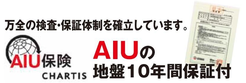 Other. AIU insurance (10-year warranty of the ground)