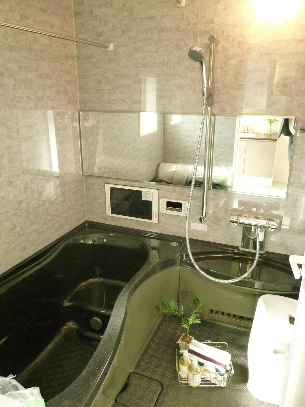 Bathroom. Bathroom expected Figure