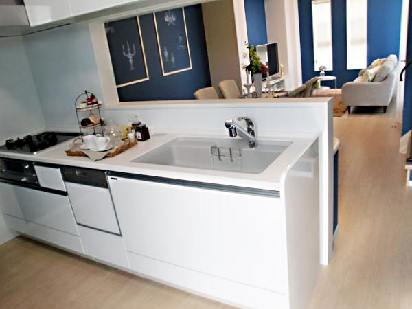 Kitchen. Popular face-to-face kitchen