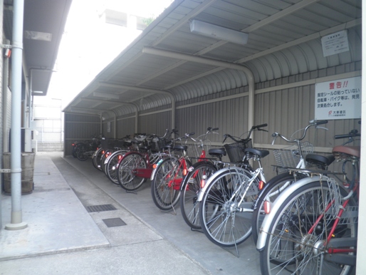 Parking lot. bicycle parking space