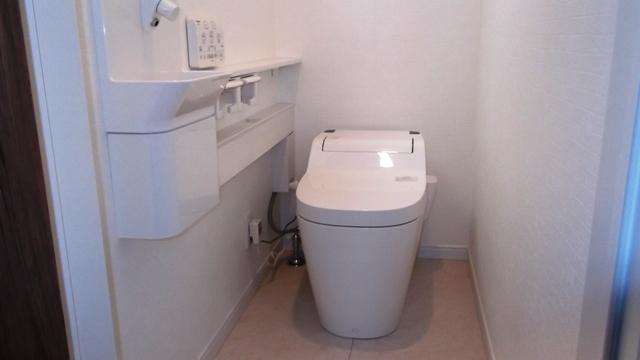 Toilet. Example of construction