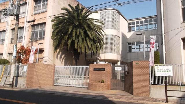 Junior high school. Osaka Tatsuhigashi Ikuno until junior high school 258m