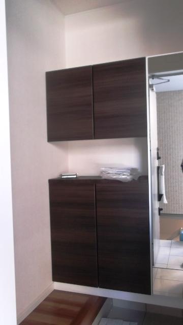 Other introspection. With cupboard mirror