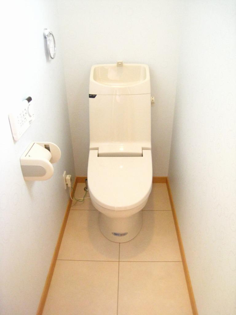 Toilet. Toilet construction cases