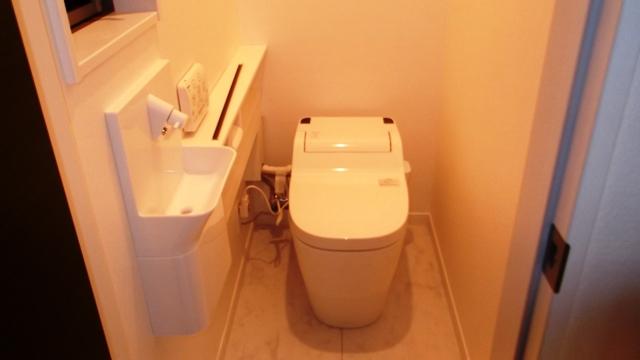 Toilet. Example of construction