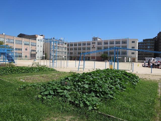 Primary school. 310m to Osaka Municipal Tatsumihigashi Elementary School