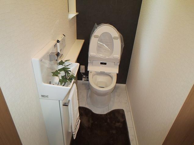 Toilet. Example of construction