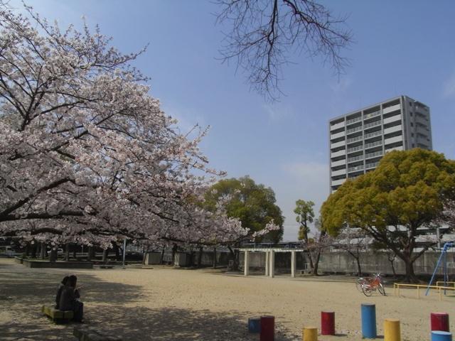 Other. Spring will see cherry blossoms.