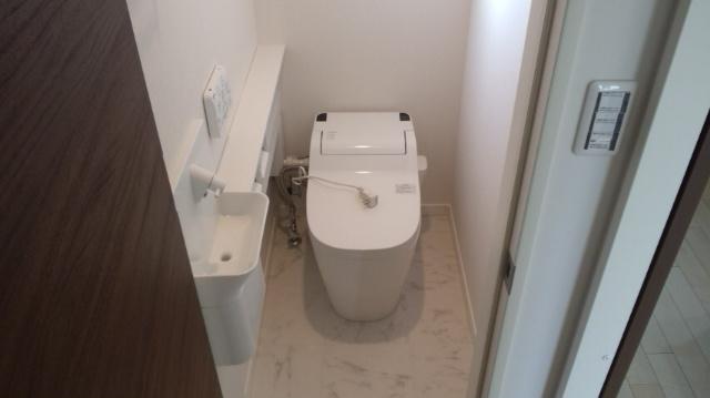 Toilet. Handwashing with tankless toilet