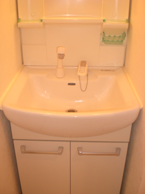 Washroom. Independent wash basin, Shampoo with Dresser