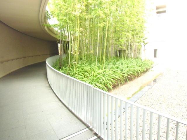 Other. Green There are a lot of on-site